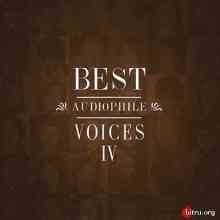 Best Audiophile Voices vol.4