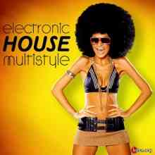 Electronic House Multistyle