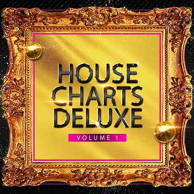 House Charts Deluxe Vol 1