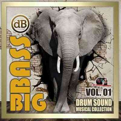 Big Bass: Drum Sound Musical Collection Vol.01 (2020) скачать через торрент