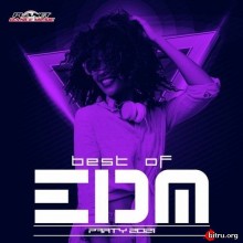 Best of EDM Party 2021 (2020) скачать через торрент