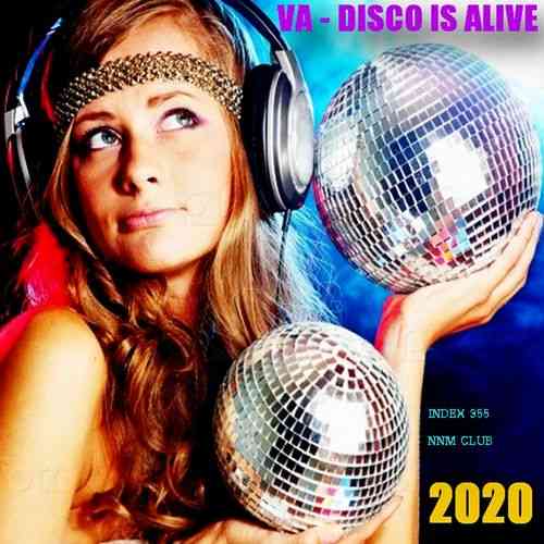 Disco Is Alive