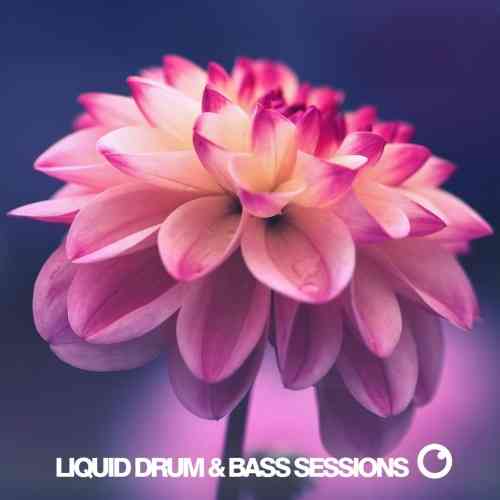 Liquid Drum & Bass Sessions: Vol 9 [WEB] (2021) скачать через торрент