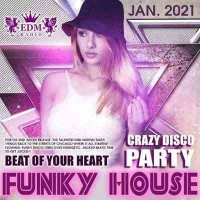 Funky House: Crazy Disco Party (2021) скачать через торрент