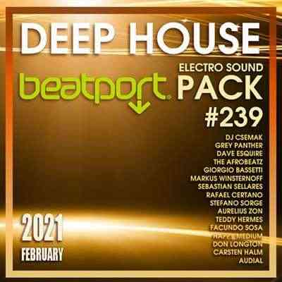 Beatport Deep House: Electro Sound Pack #239