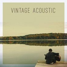 Vintage Acoustic (2021) скачать торрент