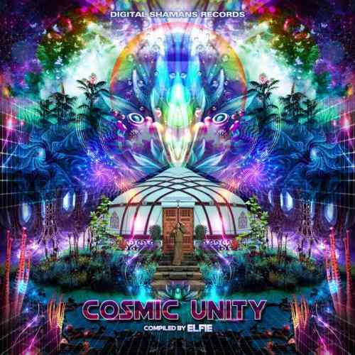 Cosmic Unity