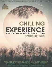 Chilling Experience: Chill House Sound Mix (2021) скачать через торрент
