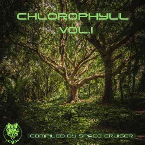 Chlorophyll Vol . 1 (2021) скачать торрент