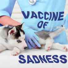 Vaccine of Sadness (2021) скачать торрент