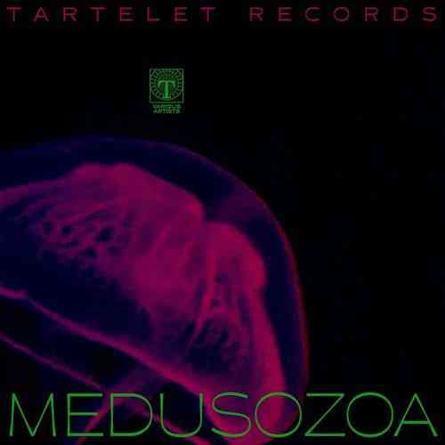 Medusozoa