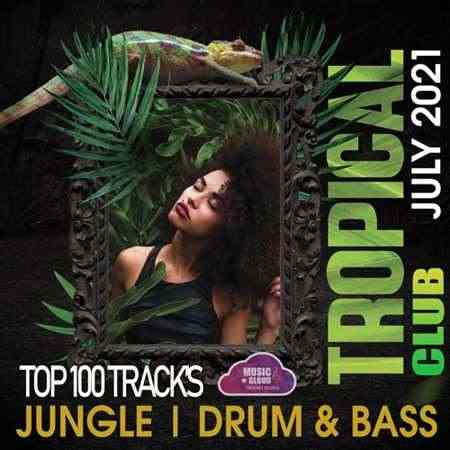 Tropical Jungle Club