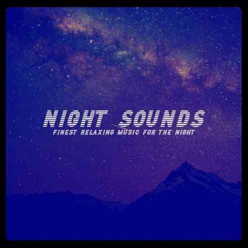 Night Sounds