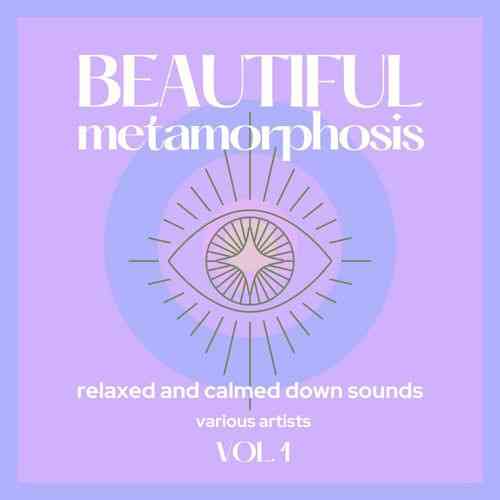 Beautiful Metamorphosis [Relaxed and Calmed Down Sounds] Vol. 1 (2021) скачать через торрент