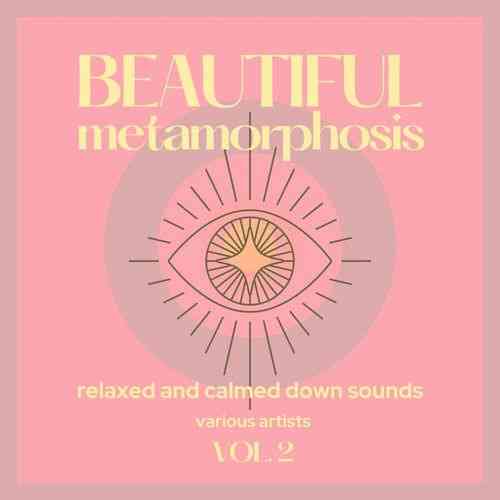 Beautiful Metamorphosis [Relaxed and Calmed Down Sounds] Vol. 2 (2021) скачать через торрент