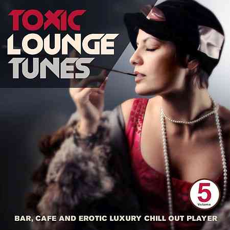 Toxic Lounge Tunes, Vol. 5 (2013) скачать через торрент