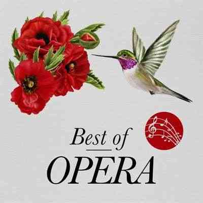 Best of Opera (2021) скачать торрент