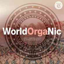 WorldOrgaNic 2022 (2022) скачать торрент