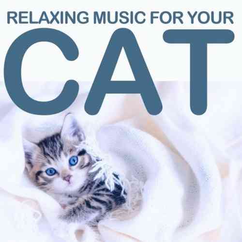 Relaxing Music for Your Cat (2021) скачать торрент