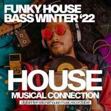 Funky House Bass Winter (2022) скачать торрент
