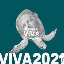 Viva 2021.4 (2022) скачать через торрент