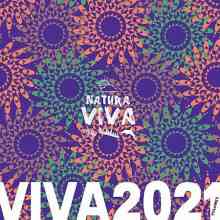 Viva 2021.3 (2022) скачать через торрент