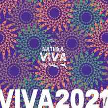 Viva 2021.3 (2022) скачать торрент