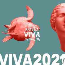 Viva 2021.2 (2022) скачать торрент