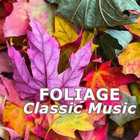 Foliage Classic Music (2022) скачать торрент