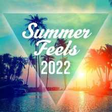 Summer Feels 2022 (2022) скачать через торрент