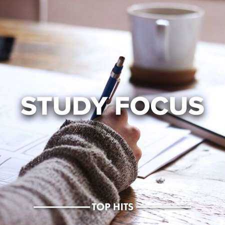 Study Focus (2022) скачать через торрент