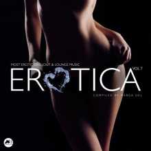 Erotica Vol. 7 (Most Erotic Chillout & Lounge Music) (2022) скачать торрент