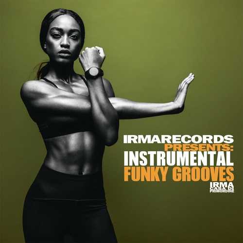 Instrumental Funky Grooves (2022) скачать через торрент