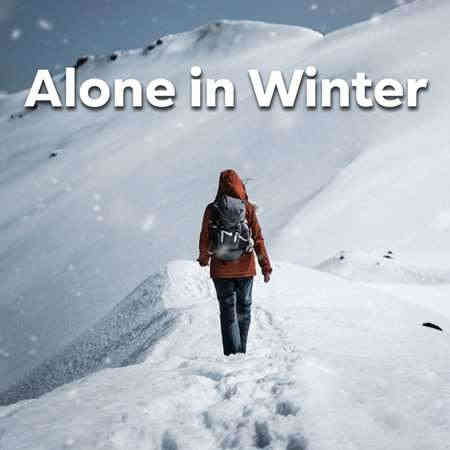 Alone In Winter