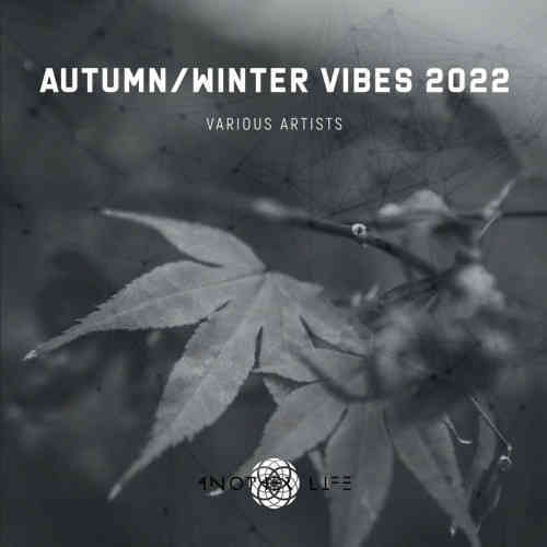 Autumn / Winter Vibes 2022 (2022) скачать через торрент