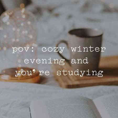 pov: cozy winter evening and you’re studying (2022) скачать через торрент