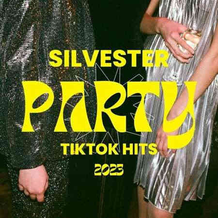 Silvester Party TikTok Hits 2023 (2023) скачать через торрент