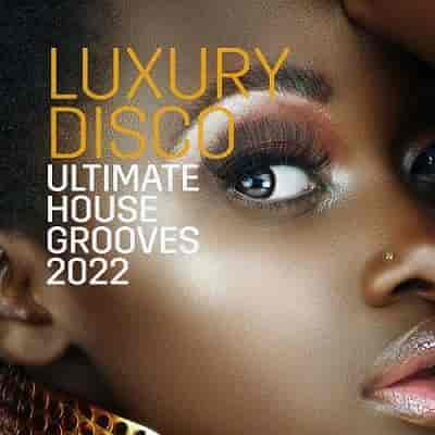 Luxury Disco - Ultimate House Grooves (2022) скачать торрент