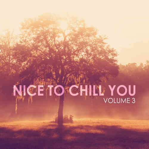 Nice To Chill You, Vol. 3