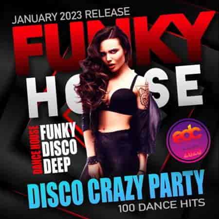 Funky House: Disco Crazy Party (2023) скачать через торрент
