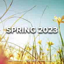 Spring 2023