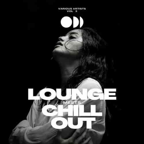 Lounge Meets Chill Out, Vol. 3 (2023) скачать через торрент