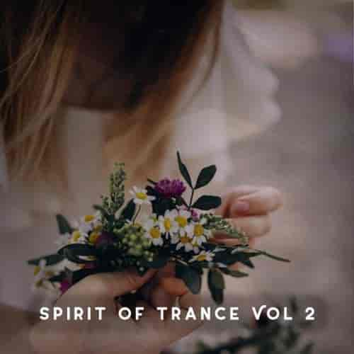 Spirit of Trance, Vol. 2 (2023) скачать через торрент