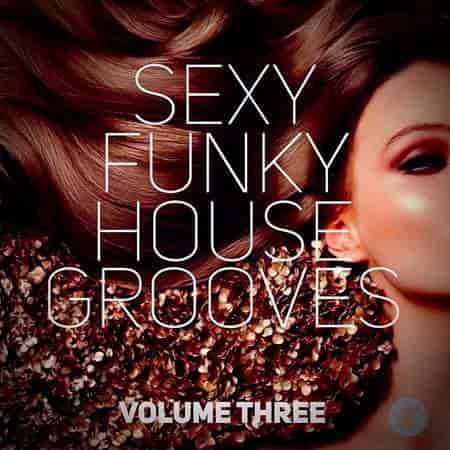 Sexy Funky House Grooves Volume Three (2023) скачать через торрент