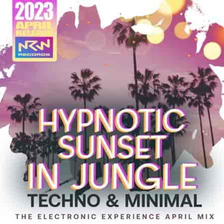 Hypnotic Sunset In Jungle (2023) скачать торрент