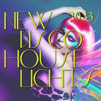 New Disco House Lights (2023) скачать через торрент