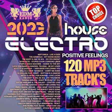 Electro House: Positive Feelings (2023) скачать через торрент