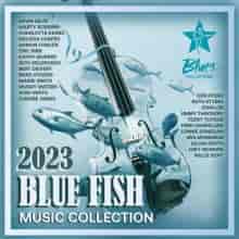 Blue Fish Collection