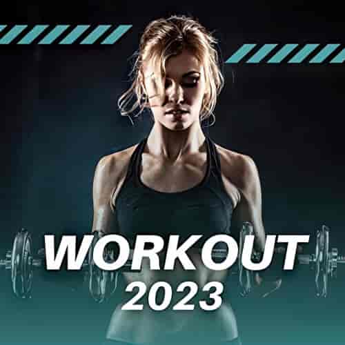 Workout 2023 (2023) скачать через торрент
