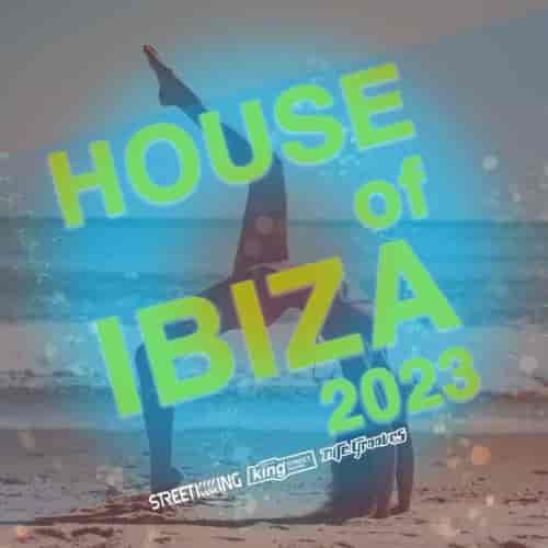 House Of Ibiza 2023 (2023) скачать через торрент